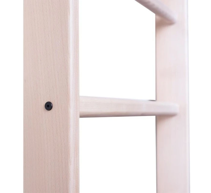 BENCHK 100 GYMNASTICKÝ ŽEBŘÍK