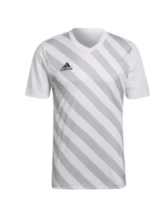 Pánský dres Entrada 22 Graphic Jersey M HF0129 - Adidas