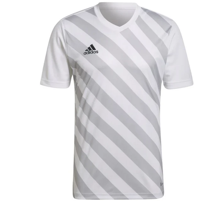 Pánský dres Entrada 22 Graphic Jersey M HF0129 - Adidas