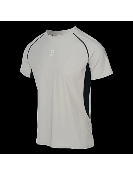 Pánské tričko s krátkým rukávem model 22098416 - IQ Pánské tričko s krátkým rukávem model 22098416 - IQ