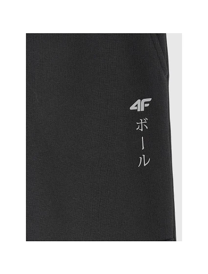 Chlapecké tepláky joggers model 22308107 - 4F Chlapecké tepláky joggers model 22308107 - 4F