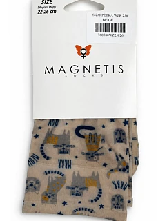 model 22355266 WZR 258 - Magnetis