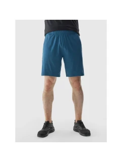 Pánské rychleschnoucí tréninkové šortky model 21432040 - 4F