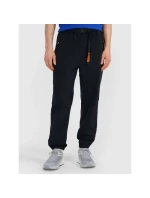 Pánské volnočasové kalhoty model 21433252 - 4F Pánské volnočasové kalhoty model 21433252 - 4F