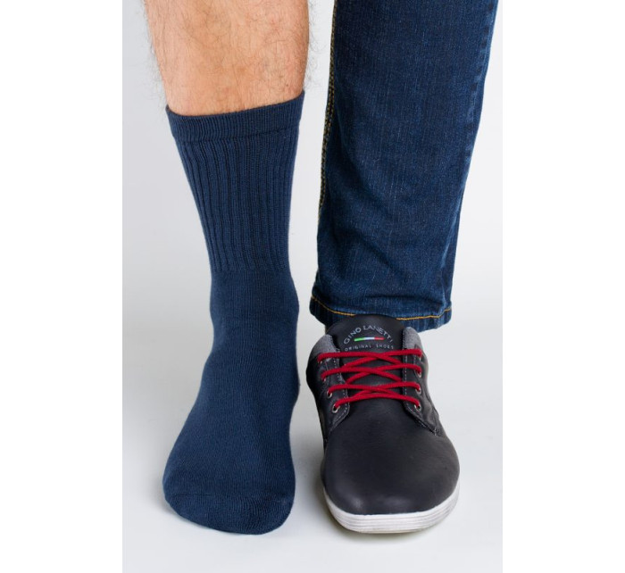 Pánské ponožky Regina Socks Polofroté Bambus