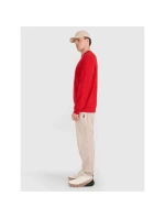 Pánská mikina s kapucí bez model 21437401 - 4F Pánská mikina s kapucí bez model 21437401 - 4F