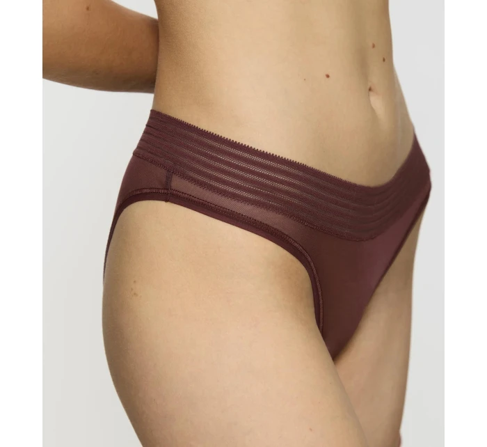 Tempting Sheer Highleg Tai 2P - BROWN - TRIUMPH BROWN - TRIUMPH