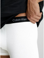 Spodní prádlo Pánské spodní prádlo TRUNK model 18770157 - Calvin Klein