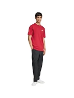 Pánské tričko Outdoor Mountain Graphic Tshirt red pánské model 22059905 - ADIDAS