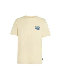 Plážové tričko s grafikou O'Neill M 92800613972