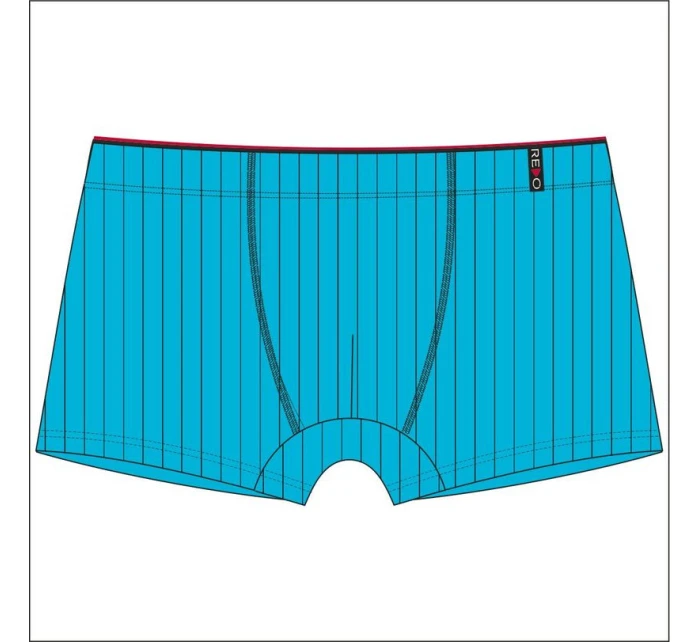 Pánské boxerky model 21284563 BAMBUS - Redo Pánské boxerky model 21284563 BAMBUS - Redo