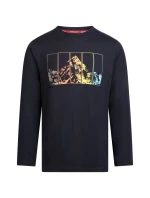 Pánské tričko model 21724779 - Trespass