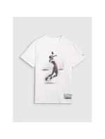 Pánské volejbalové tričko s potiskem model 21756928 - 4F Pánské volejbalové tričko s potiskem model 21756928 - 4F