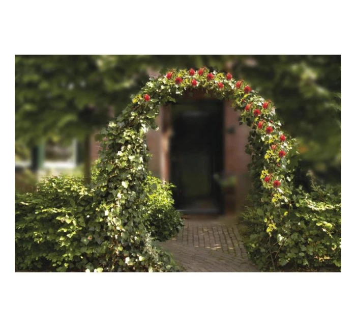 NA model 21832016 - Kinzo