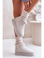 Sněhule Dámské Na Platformě Zateplené Kožíškem Světle Šedé Xamella Sněhule Dámské Na Platformě Zateplené Kožíškem Světle Šedé Xamella