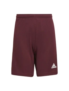 Squadra 21 Short Jr GN8081 - Adidas