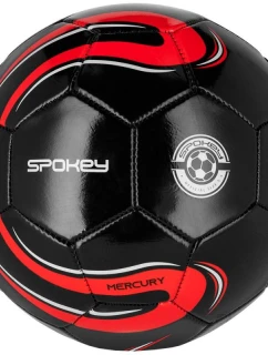 Football model 21874273 - Spokey