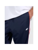 Pánské tepláky typu jogger model 21815748 - 4F Pánské tepláky typu jogger model 21815748 - 4F