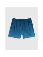 Pánské plážové boardshortky 4F 4FWSS26UBDSM168-46S Pánské plážové boardshortky 4F 4FWSS26UBDSM168-46S