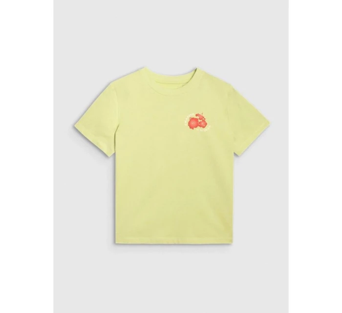 Dámské tričko oversize s potiskem model 21816652 - 4F Dámské tričko oversize s potiskem model 21816652 - 4F