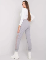 Tepláky RV DR 6896.48P šedá Tepláky RV DR 6896.48P šedá