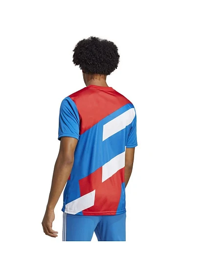 FC Bayern JSY M Tričko model 18492318 - ADIDAS