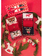 Pánské ponožky Milena Vánoční sada v krabičce A'3 38-46