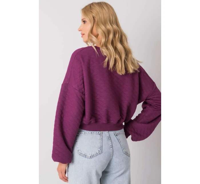 Mikina  model 169773 BFG