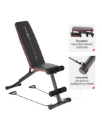 s model 21810847 - HMS s model 21810847 - HMS