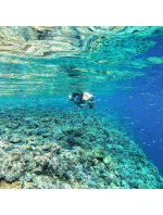 JUNIOR model 21826130 - BEST SPORTING