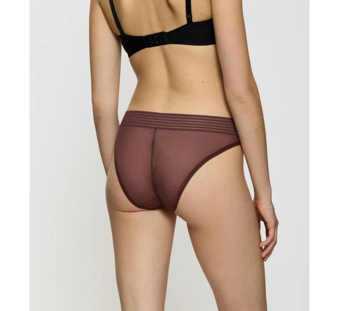 Tempting Sheer Highleg Tai 2P - BROWN - TRIUMPH BROWN - TRIUMPH
