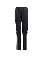 Kalhoty adidas Squadra 25 Training Jr JD1628