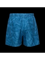 Pánské šortky GRODIX