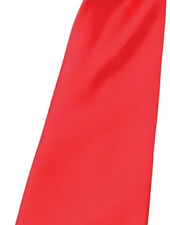 PR 750 Saténová kravata "Colours" 39.0750 model 22484998 red - Premier