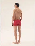 Pánské boxerky 2 pack 42628 Star - HENDERSON