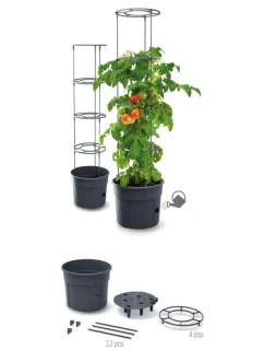 DONICZKA DO  Z  dětské model 21831715