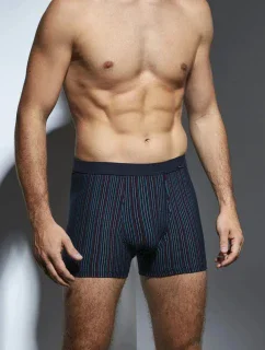 BOXERKY RŮZNÉ MINI 233 JARO 2024