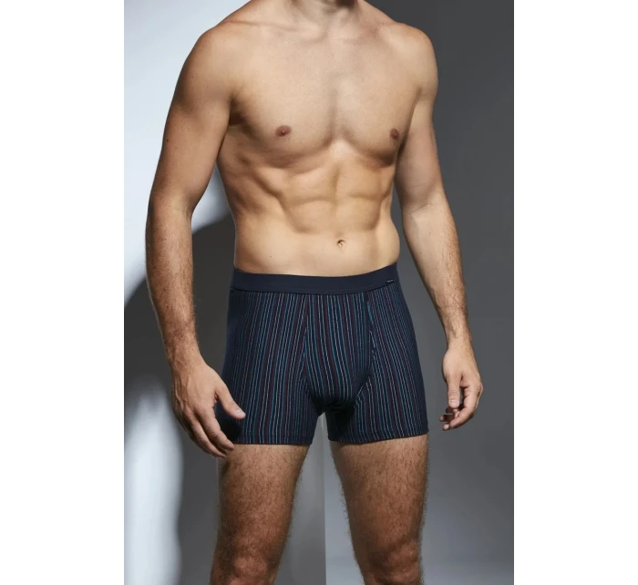 BOXERKY RŮZNÉ MINI 233 JARO 2024