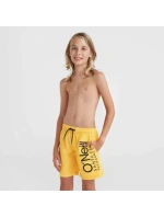 O'Neill Mix & Match Cali Floral plavecké šortky Jr model 20090026 - ONeill