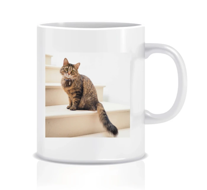 Personalizovaný klasický bílý hrníček 300 ml s fotografií 