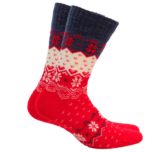 Dámské ponožky model 14377878 - Wola