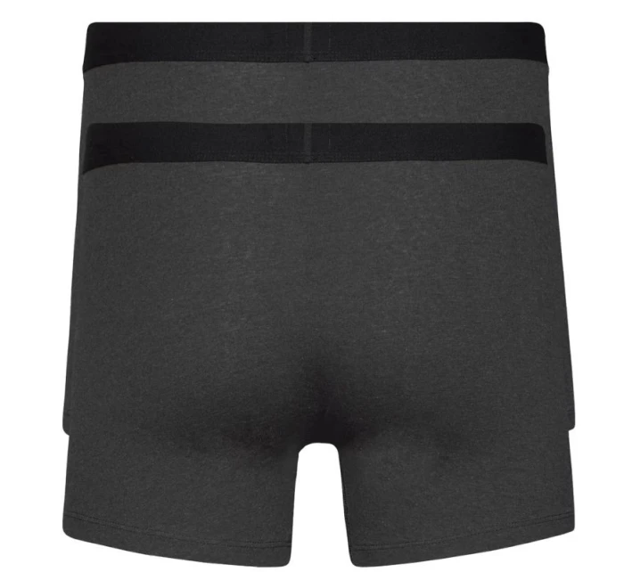 Pánské boxerky 2Pack model 21732532 šedá Levi's - Levis
