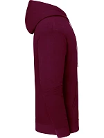 Fruit of the Loom Iconic 250 Hooded Sweat Mikina s kapucí 16.2294 burgundy Fruit of the Loom Iconic 250 Hooded Sweat Mikina s kapucí 16.2294 burgundy