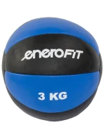 FIT model 21830265 - Enero