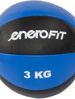 FIT model 21830265 - Enero