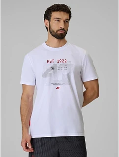 Pánské tričko s potiskem, regular střih, model 22276671 - 4F