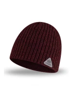 Pánská čepice P&M model 18890171 - PaMaMi