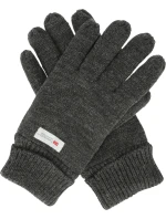 Pánské rukavice model 21488974 - Whistler