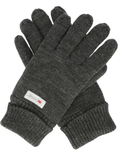Pánské rukavice model 21488974 - Whistler