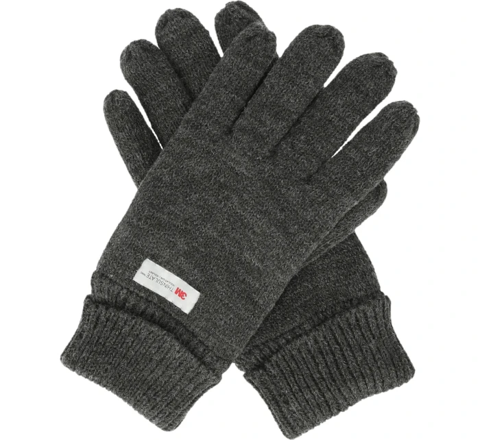 Pánské rukavice model 21488974 - Whistler